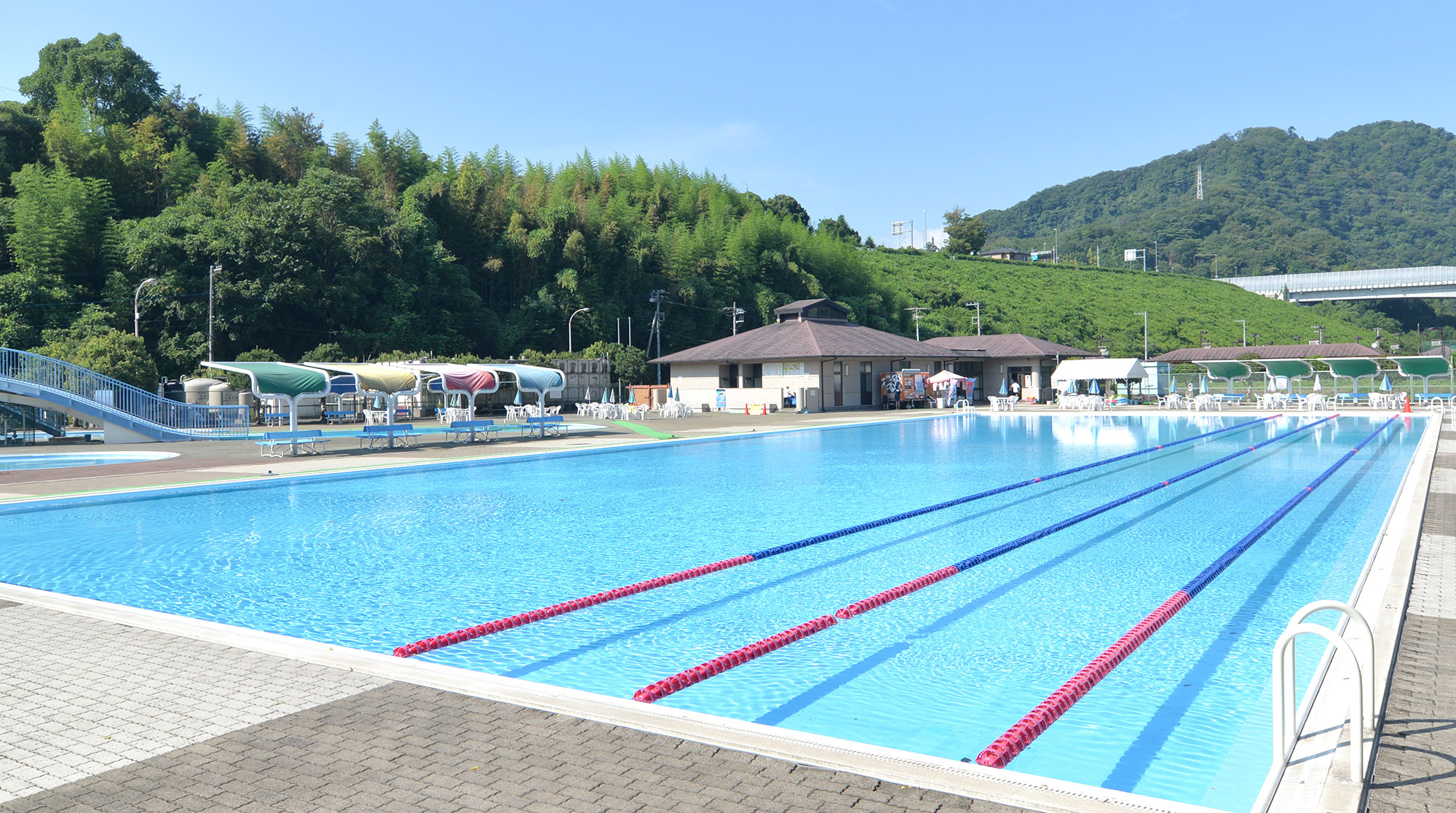 50mプール